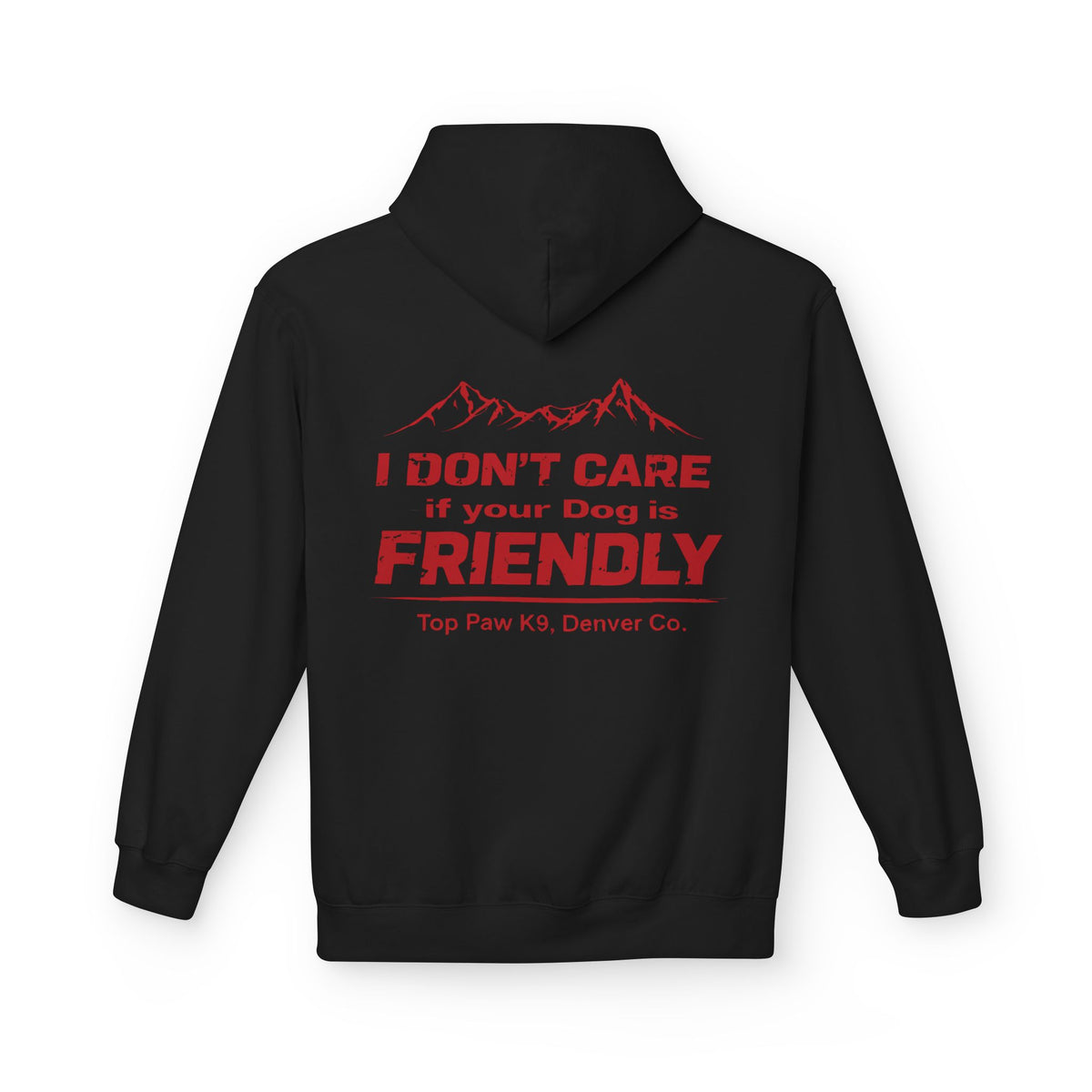 Not Friendly — Hoodie