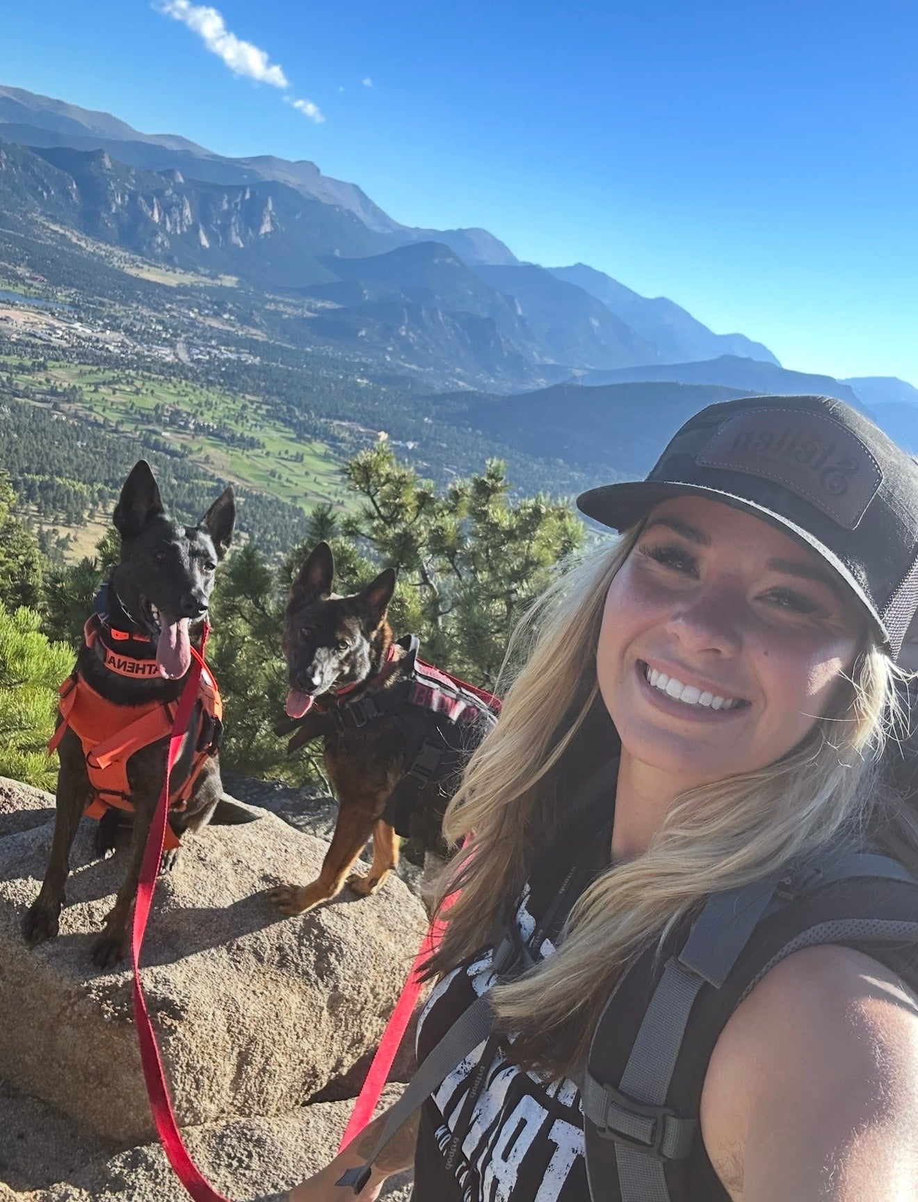 Apprenticeships — hands-on training career development with Top Paw K9 Academy