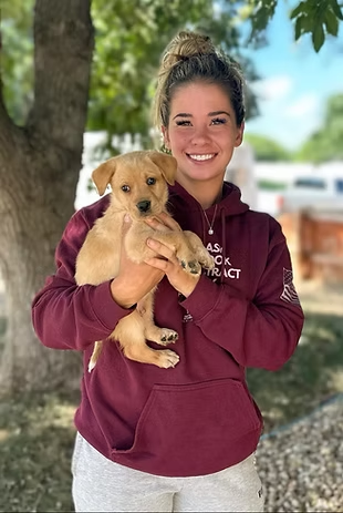 Breeder Reputability — assistance locating a reputable breeder for your needs