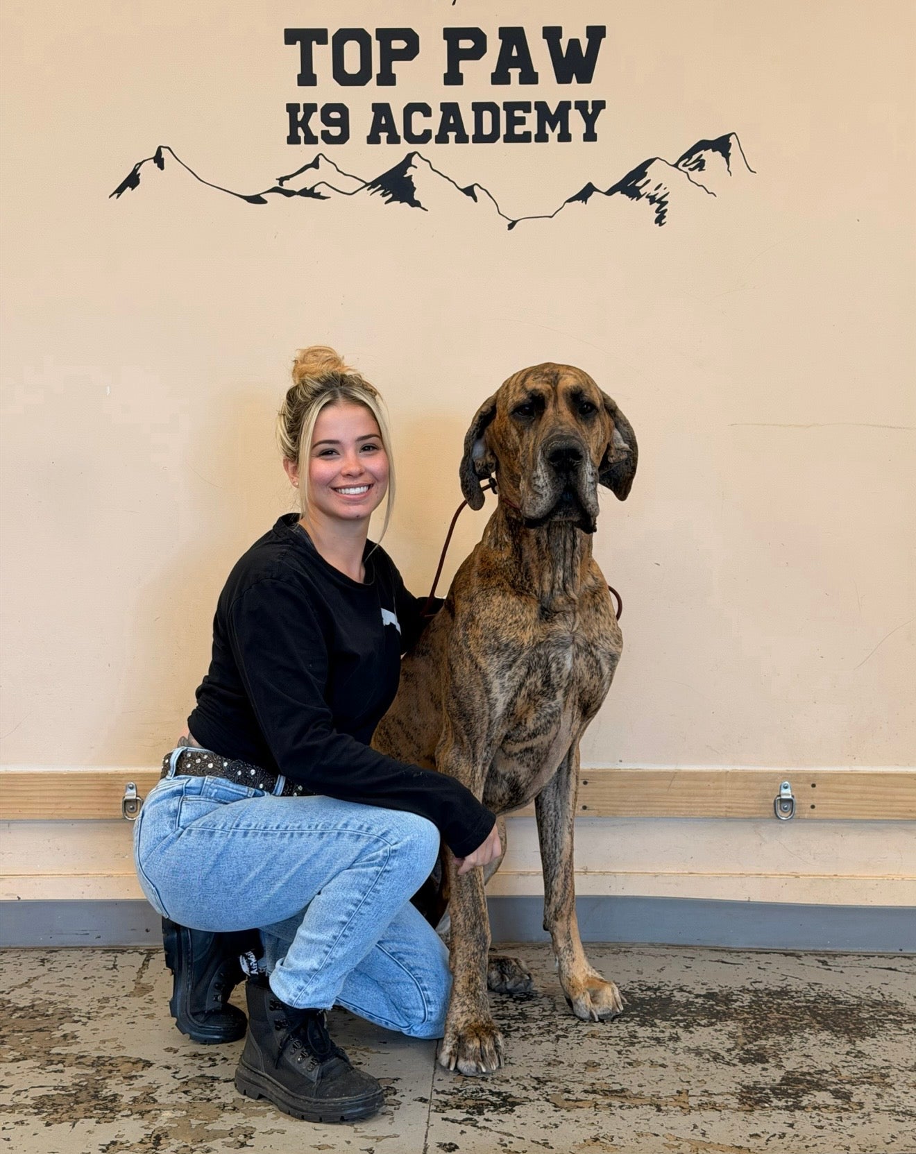 Private Training — one-on-one sessions customized to your dog