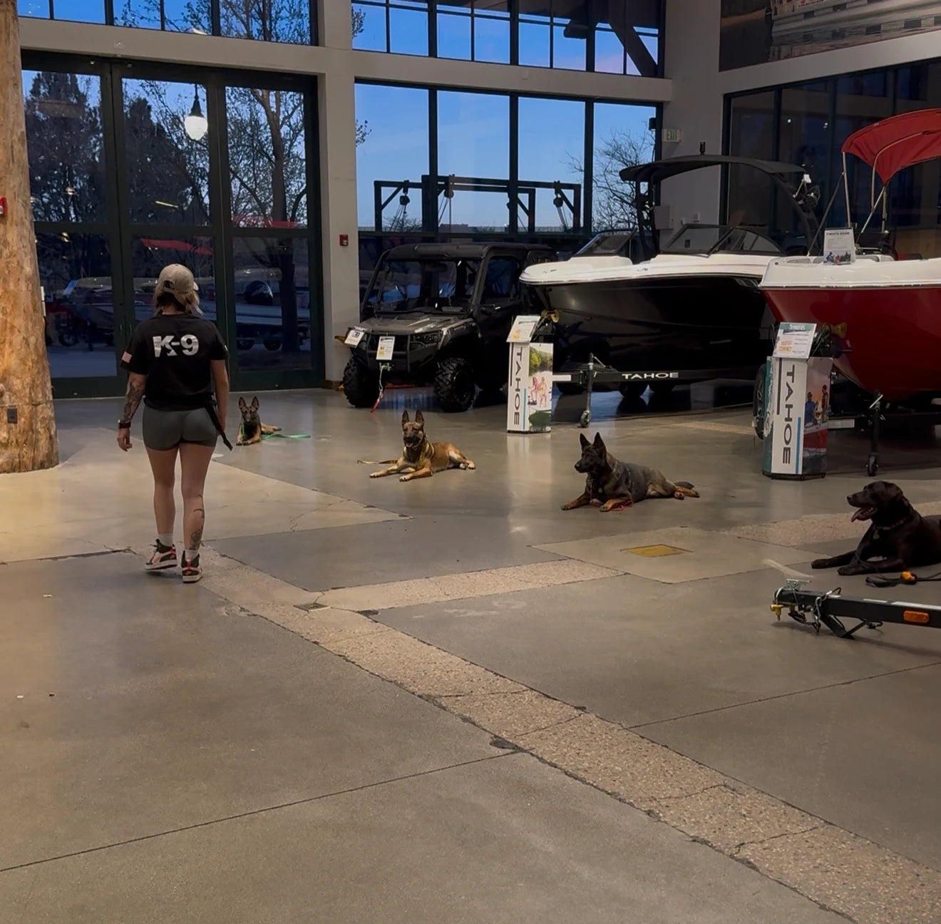 Top Paw K9 trainer with three dogs holding a calm down-stay in a real-world environment