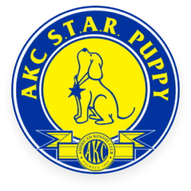 AKC S.T.A.R. Puppy certified