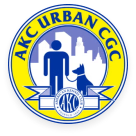 AKC Urban CGC certified