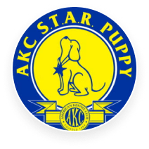 Best Dog Trainer 2024 - Quality Business Awards