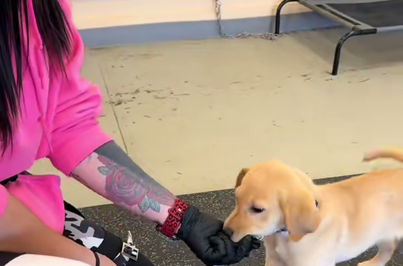 Training video thumbnail
